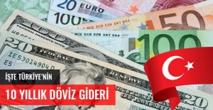 İŞTE TÜRKİYE'NİN 10 YILLIK DÖVİZ GİDERİ